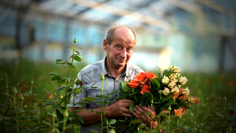 Gärtnermeister Lothar Franke holte seine Rosen von 2010 bis 2021 stets aus den Gewächshäusern in Weinhübel.