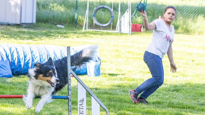 Hundeführerin Jenny Pinkert mit ihrem Border Collie Quy (2) beim Training auf dem Gelände des Hundesportvereins Pulsen.