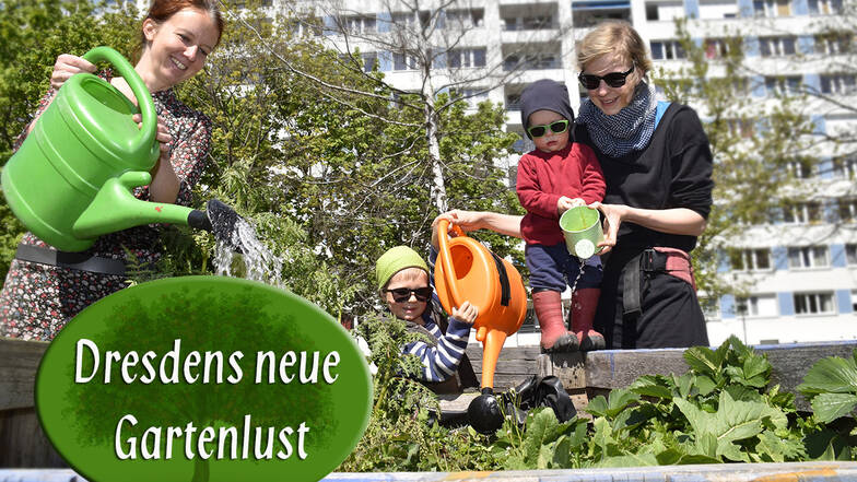 Andrea Schubert (l.) gärtnert regelmäßig am Bönischplatz. Auch Maria Tschernig zeigt ihren Söhnen Alfred und Hugo, was zu tun ist, damit bald Gemüse geerntet werden kann.