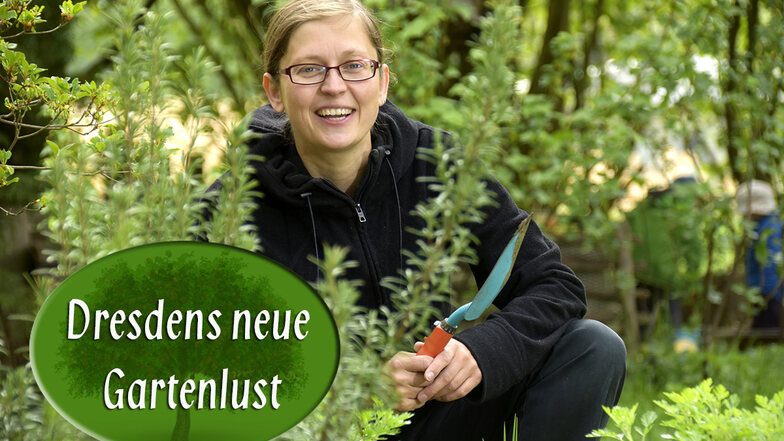 Mit ihrer Pflanzentauschplattform "Bäumchen, wexel Dich" hat Kristin Hofmann einen Nerv getroffen.