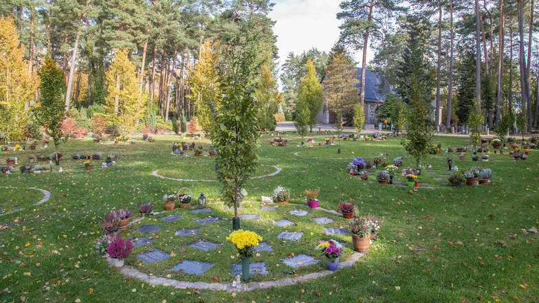 Auf dem Waldfriedhof in Niesky sind mehrere Urnengemeinschaftsgrabanlagen angelegt. Auch für sie gelten Bestimmungen.