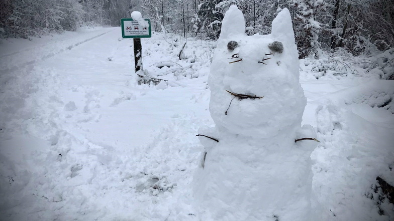 Tiere aus Schnee findet man auch in Hirschbach bei Glashütte. Im Winterwald steht diese Schneekatze, an der sich Wanderer erfreuen können.