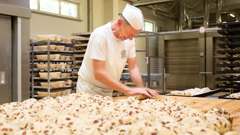 Die ersten Stollen in diesem Jahr sind beim Ottendorfer Mühlenbäcker bereits fertig gebacken worden. Hier rollt Bäckermeister Frank Wunderlich den Teig aus.
