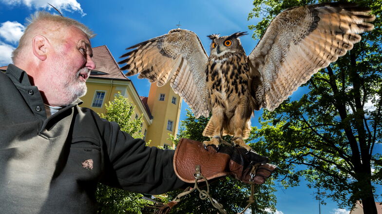 Werner Winde kennt sich aus mit Greifvögeln. Seine Falknerei bringt Eulen und Greife mit nach Großharthau.