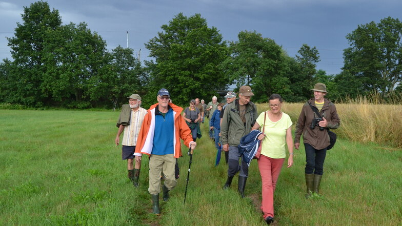 Es geht endlich wieder los: Naturschützer Alf Terpe (li.) mit Exkursionsteilnehmern auf dem Weg zu den Elligastwiesen bei Nasseböhla.