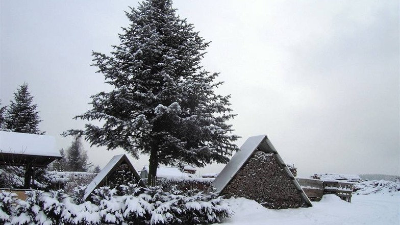 Winter in und um Steinigtwolmsdorf: Holzstilleben.