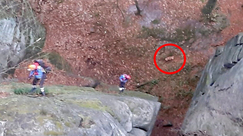 Zwei Kameraden der Bergwacht Pirna seilen sich 40 Meter ab, um an der Basteibrücke einen verunglückten Hund zu retten.