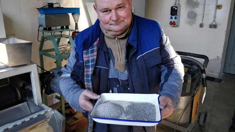 Laborant Dino Gries hält das Ergebnis  in einer Schale: links das taube Gestein, rechts der Lithiumglimmer.