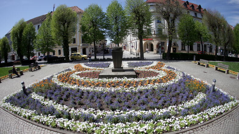 Neue Frühjahrsblumen auf den Rabatten an der Pirnaer Grohmannstraße: Schon im Sommer könnte es mit der Farbenpracht vorbei sein, weil die Stadt sparen muss.