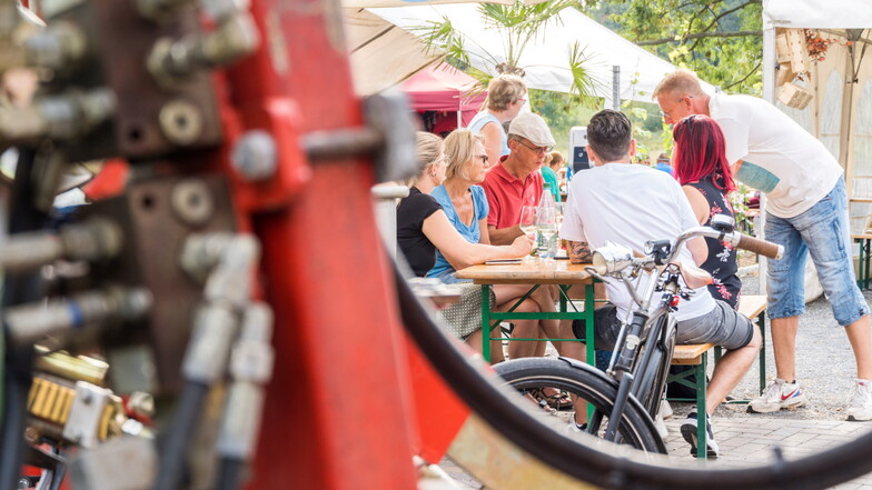 Bei Ulrichs in Diesbar-Seußlitz gab es Wein, aber auch Palmen, Musik und Landtechnik.