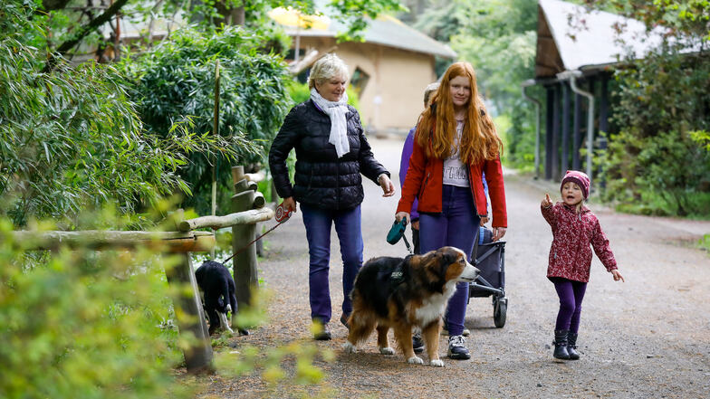 Eine Oma und ihre Enkelkinder aus Zittau waren die ersten Besucher im Tierpark. Als dieser 9 Uhr öffnete, standen sie schon am Eingang.