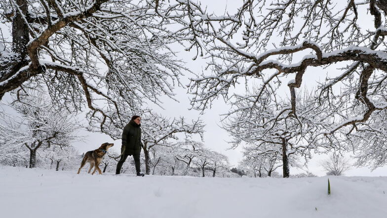 Eine Frau geht mit ihrem Hund über eine verschneite Wiese in Baden-Württemberg.
