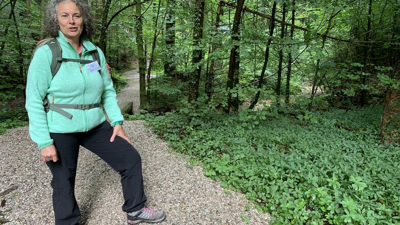 Die Natur riechen, fühlen, schmecken: Die zertifizierte Waldbaderin Manuela Goerlich.