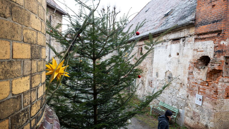 Liebevoll geschmückt und von Unbekannten beschädigt: der Weihnachtsbaums im Malerwinkel in Königstein.
