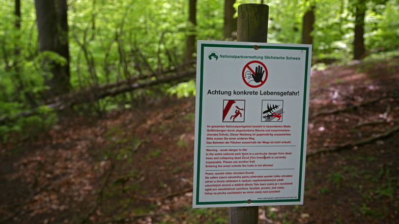 Warnschilder wie dieses weisen weiterhin auf die Gefahr durch umstürzende Bäume hin.