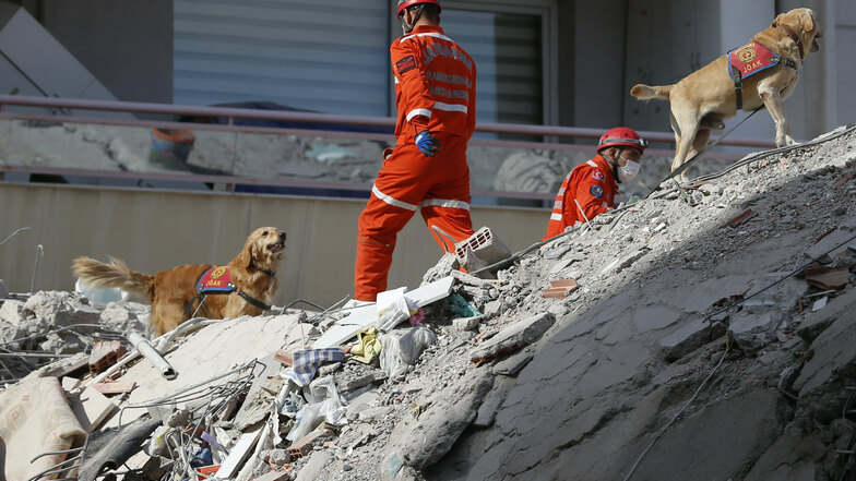 Mit Spürhunden wird in den Trümmern eines eingestürzten Gebäudes nach Überlebenden gesucht.