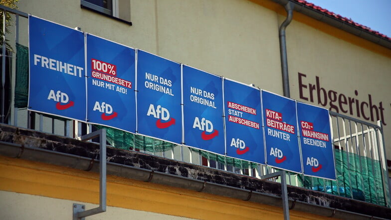 AfD gewinnt in Bad Schandau