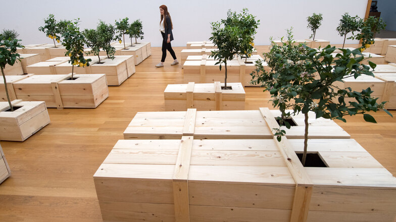 Tod und Auferstehung in einem Saal voller Zitronenbäumchen, die aus schlichten Holzsärgen wachsen. „EX IT“ heißt diese Arbeit von Yoko Ono, die sie 1997 und 2019 noch einmal schuf. 