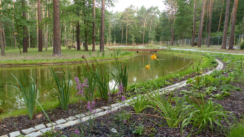 Auf dem denkmalgeschützten Heidefriedhof wurde ein neuer Teich mit Grabzonen direkt an der Uferböschung angelegt.