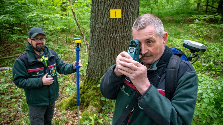 Mit einem Spiegelrelaskop erfasst Landesinventurleiter Michael Schmid (rechts) verschiedene Parameter von Bäumen. Sein Kollege Timmy Schulze hilft ihm dabei.