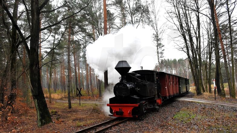 Romantische Fahrten mit der Waldeisenbahn Muskau sind am kommenden Wochenende erstmals in diesem Jahr wieder möglich.
