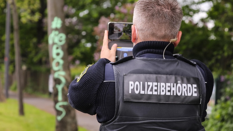 Das Dresdner Ordnungsamt hat am Dienstagmorgen die Graffiti an zahlreichen Bäumen dokumentiert.
