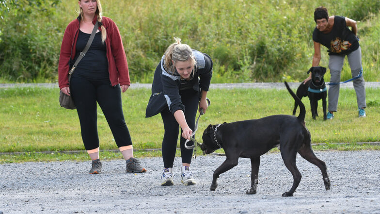 Juliane Hille (links) ist Hundetrainerin. Sie beobachtet genau, wie sich ihre vier- und zweibeinigen Schützlinge verhalten. Erst dann gibt sie Hinweise.