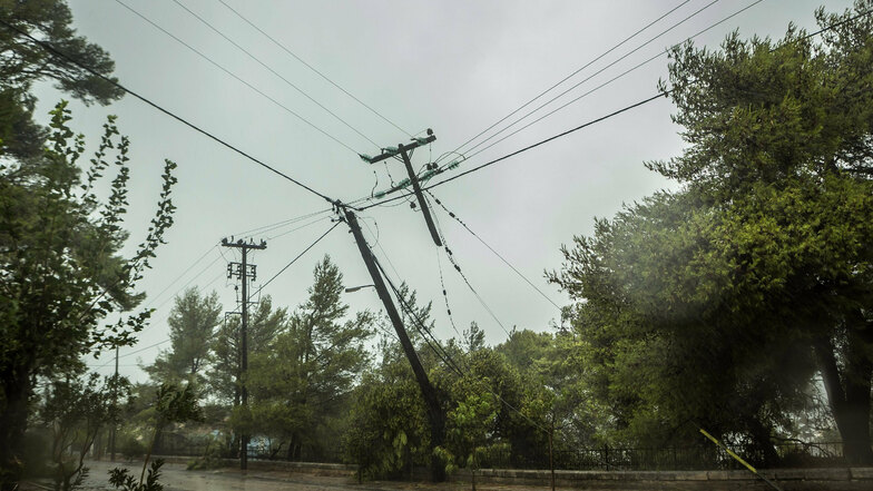 In Kefalonia haben umgestürzte Bäume die Strom - und Telekommunikationsleitungen zerstört.