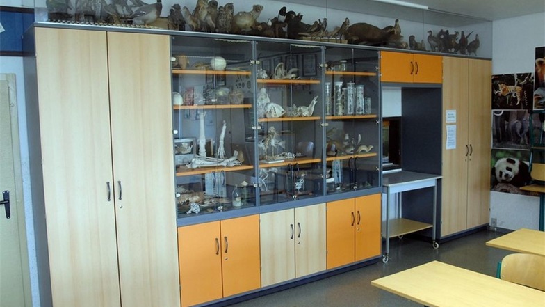 Das Fachkabinett für Biologie: Gut eingerichtet ist an der Oberschule Seifhennersdorf nicht nur das Fachkabinett für Biologie, dass auch die Schüler des Oberlandgymnasiums nutzen.