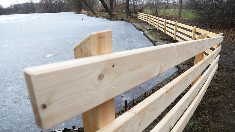 Bitte nicht reinfallen: Die Stadt hat vor wenigen Tagen am Merzdorfer Teich diesen Holzzaun aufstellen lassen. Passanten wundern sich.
