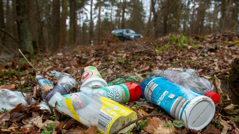 Saubere Sache: Freiwillige sammeln Müll im Wald bei Hellendorf
