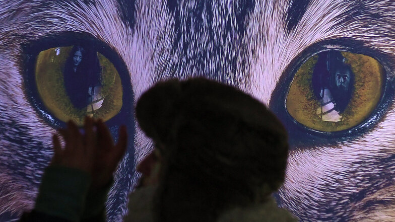 Der Künstler Yadegar Asisi hat sich in seinem neuen 360-Grad-Panorama im Panometer im Auge einer Katze (r) verewigt. 