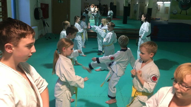 Karateverein wirbt digital um Nachwuchs