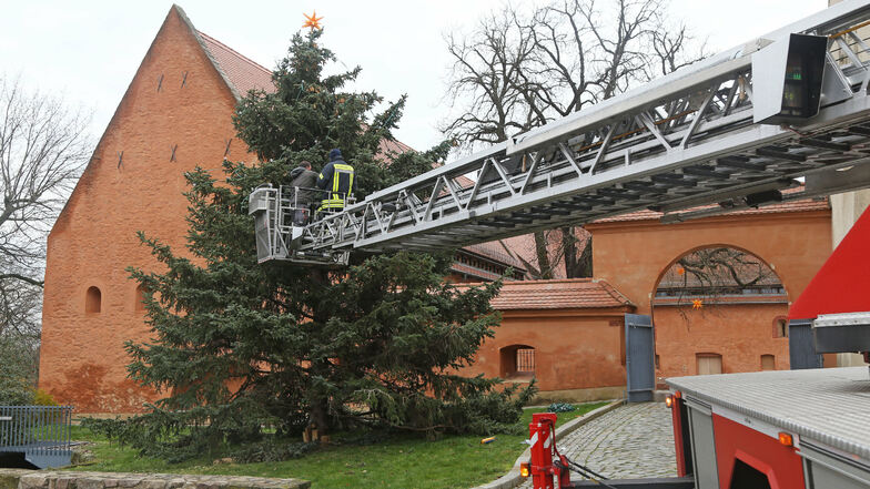 Ende November 2019 bekam Riesas damaliger Weihnachtsbaum seine Lichterkette. Ob er dieses Jahr wieder an dieser Stelle stehen wird, ist derzeit noch ungewiss.