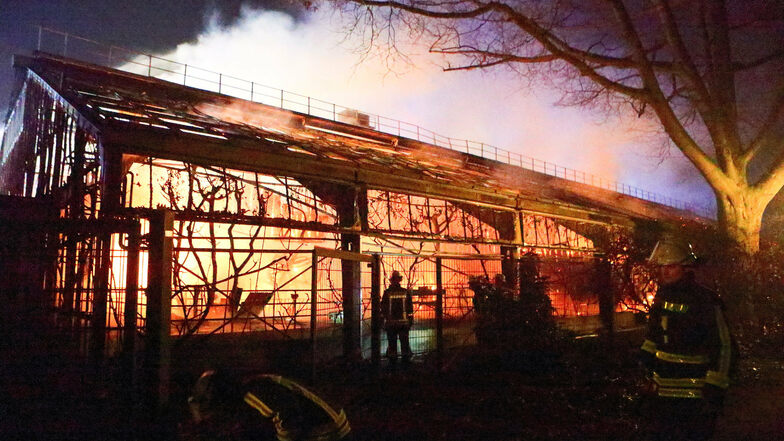 Feuerwehrleute stehen nach Löscharbeiten in der Nacht zu Neujahr vor dem Affenhaus im Krefelder Zoo. Drei Frauen werden beschuldigt, den Brand verursacht zu haben.