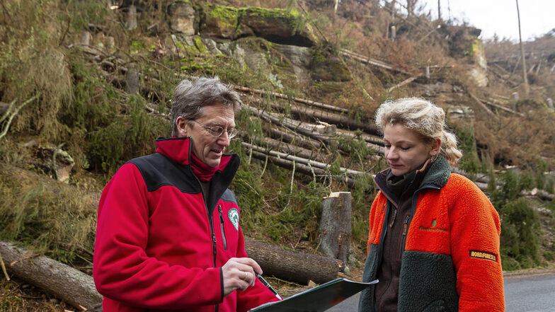 Inspektorin Helen Rößler erklärt Nationalparksprecher Hanspeter Mayr den aktuellen Stand der Fällarbeiten im Kirnitzschtal.