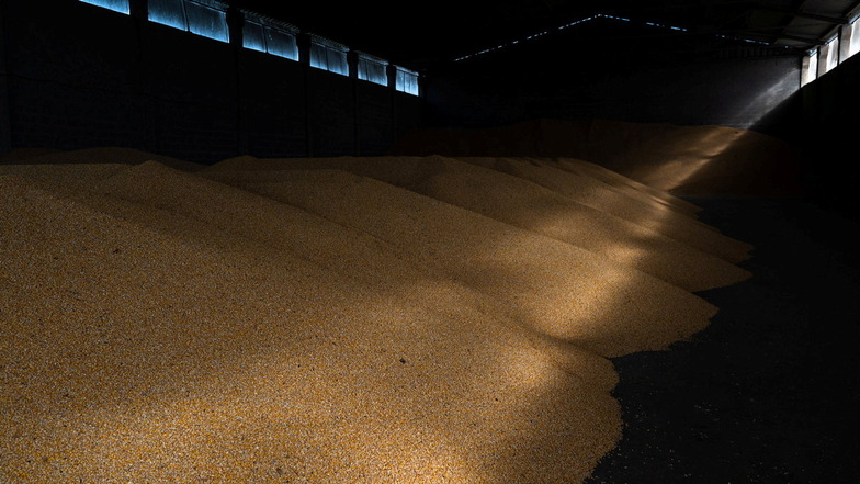 Maiskörner werden in einer Lagerhalle in der Region Kiew gelagert. Durch den Krieg in der Ukraine können Millionen Tonnen Getreide nicht exportiert werden.