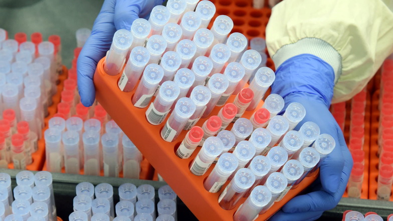 Die meisten PCR-Tests fallen derzeit in Mittelsachsen negativ aus.