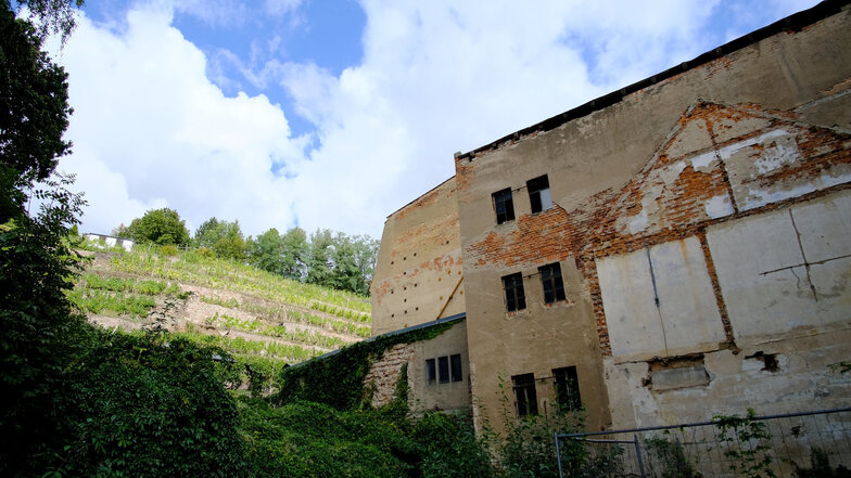 Ruine mit grünem Hinterland: In die alte Reichmühle am städtischen Schauweinberg Steinberg könnten attraktive Wohnungen eingebaut werden.