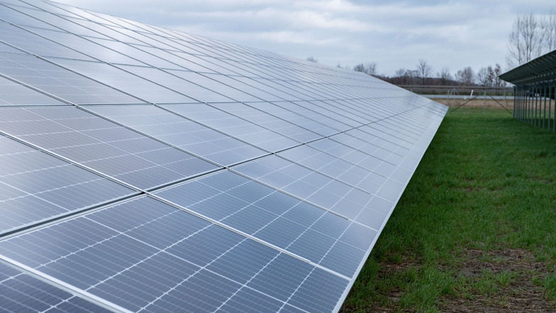 Der Solarpark in Schönfeld Richtung Liega. Auch in Kraußnitz soll eine Fotovoltaikanlage entstehen.
