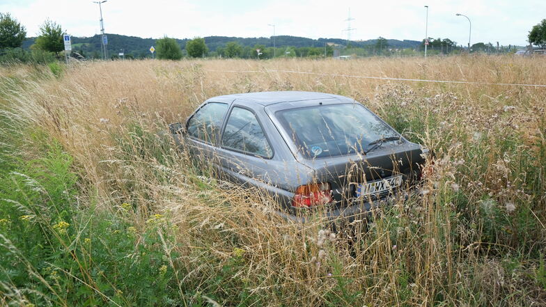 Der Ford im Feld in Radebeul