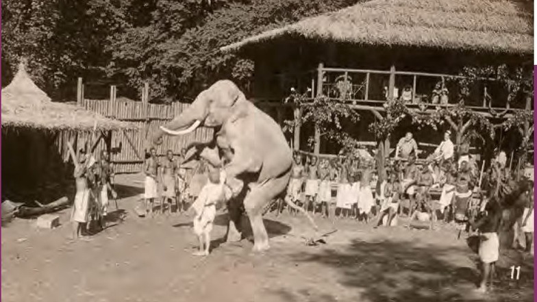 1921 wurde im Dresdner Zoo sogar ein Film gedreht, er hieß "Die Rache der Afrikanerin".