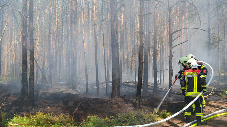 Waldbrand wird schnell entdeckt