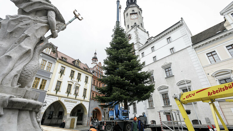 Ankunft auf dem Untermarkt. Voriges Jahr wurde als Weihnachtsbaum für den Christkindelmarkt eine Nordmanntanne aus Rauschwalde ausgewählt. Archiv: Nikolai Schmidt