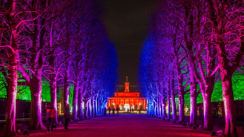 Auf einem rund zwei Kilometer langen Wandelweg können sich die Gäste des Christmas Garden im Pillnitzer Schlosspark von leuchtenden Bildern überraschen lassen.