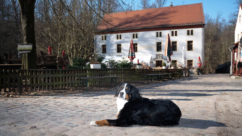 Was die Marienmühle im Seifersdorfer Tal bis zum Jahresende vorhat