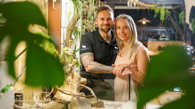 Europas erstes Naturbiotop-Café öffnet im Juni in Zittau