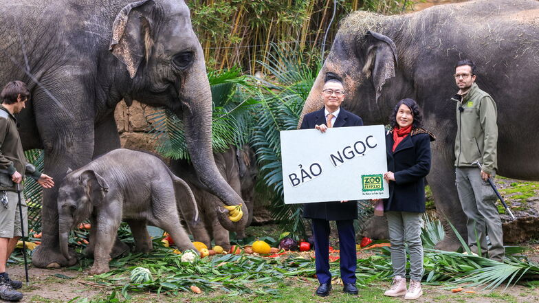 Vu Quang Minh, Botschafter Vietnam, und seine Frau Nguyen Minh Hanh halten den Namen ·Bao Ngoc· (·Kostbarer Juwel·) zur Taufe des Elefantenmädchens (l) im Zoo Leipzig in die Höhe.