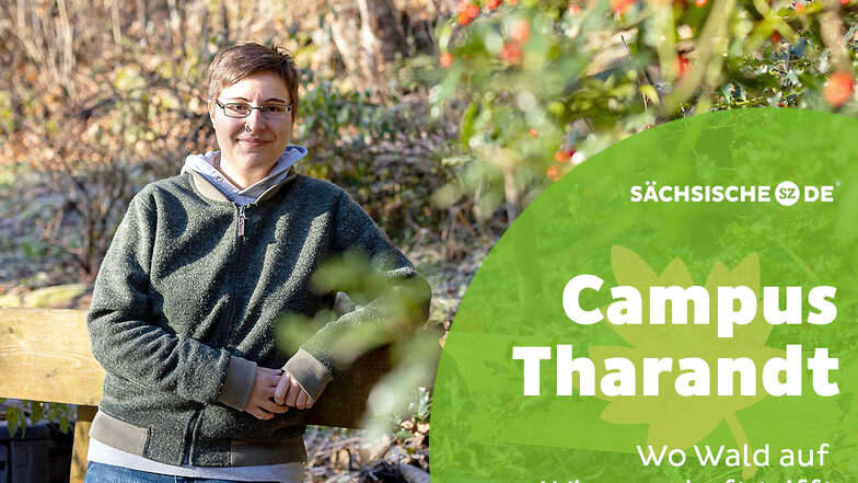 Katharina Tiebel forscht an der Uni in Tharandt und erklärt, wie der Wald dem Klimawandel angepasst werden kann.