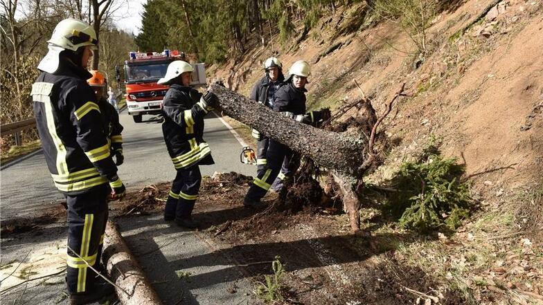 Ganz oft musste die Feuerwehr 2017 ausrücken, um umgeknickte Bäume von den Straßen zu beseitigen, so wie hier am 2. März auf der Straße zwischen Hausdorf und Schlottwitz. Ganz viele Einsätze gab es nach dem Sturm Herwart.